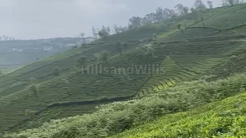 ₹3 Cr&nbsp;|&nbsp;3 acres tea estate for sale  in yedakkad ooty