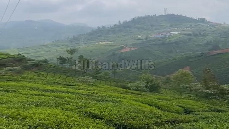 ₹3 Cr&nbsp;|&nbsp;3 acres tea estate for sale  in yedakkad ooty