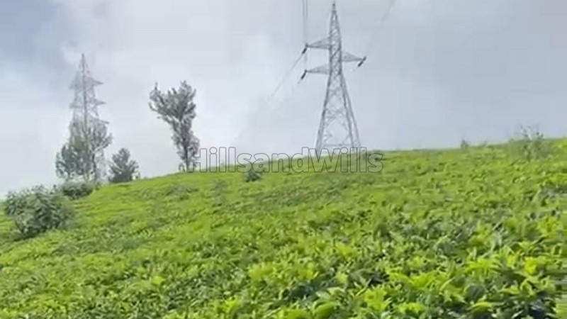 ₹3 Cr&nbsp;|&nbsp;3 acres tea estate for sale  in yedakkad ooty