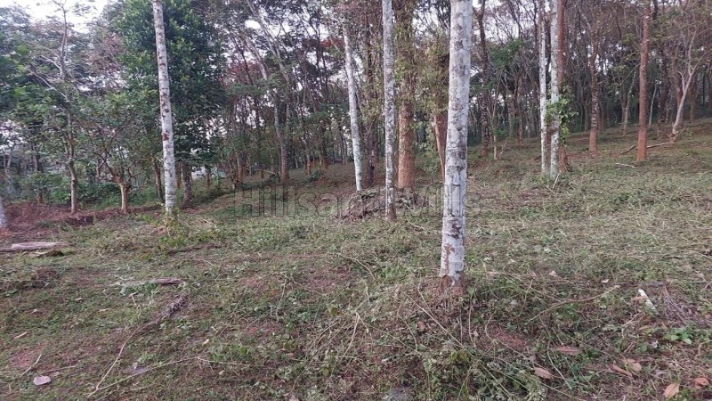 ₹30 Lac&nbsp;|&nbsp;50 cents agriculture land for sale  in moonanakuzhi wayanad