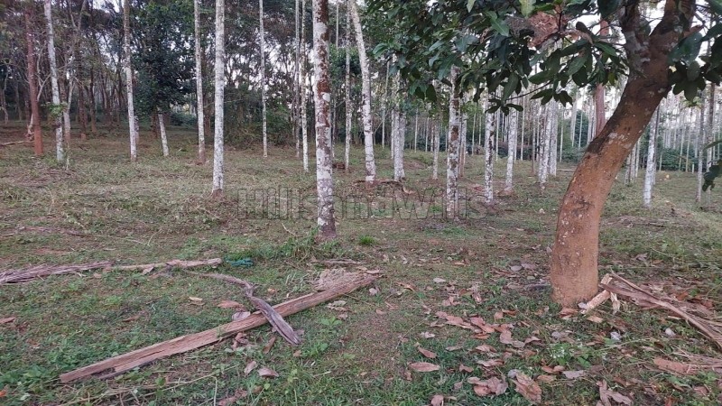 ₹30 Lac&nbsp;|&nbsp;50 cents agriculture land for sale  in moonanakuzhi wayanad
