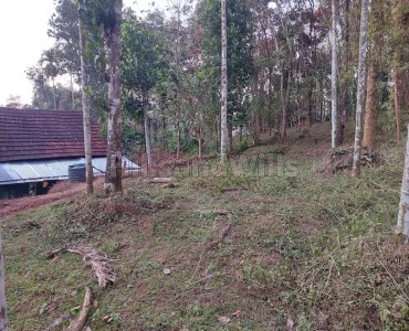 50 cents agriculture land for sale  in moonanakuzhi wayanad
