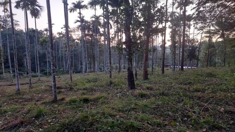 ₹30 Lac&nbsp;|&nbsp;50 cents agriculture land for sale  in moonanakuzhi wayanad
