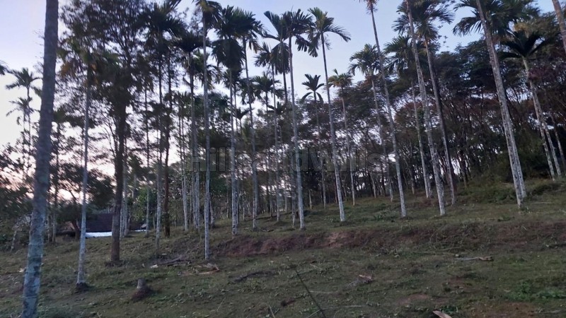 ₹30 Lac&nbsp;|&nbsp;50 cents agriculture land for sale  in moonanakuzhi wayanad