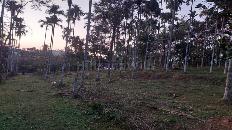 ₹30 Lac&nbsp;|&nbsp;50 cents agriculture land for sale  in moonanakuzhi wayanad