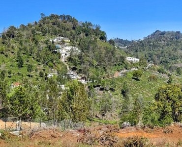98 cents  prime land for sale  in kottacombai kotagiri
