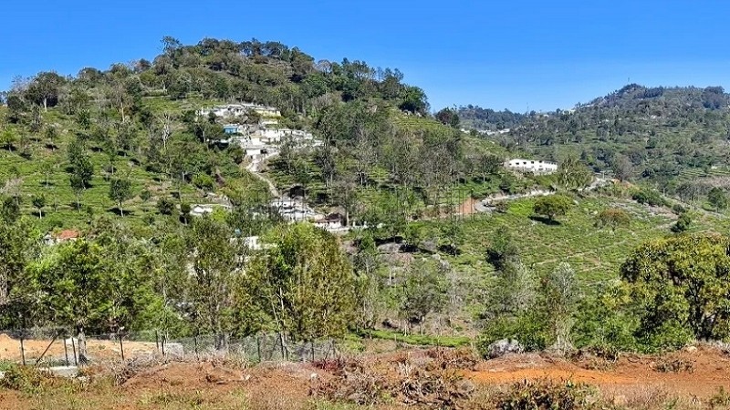 ₹8.57 Cr&nbsp;|&nbsp;98 cents  prime land for sale  in kottacombai kotagiri