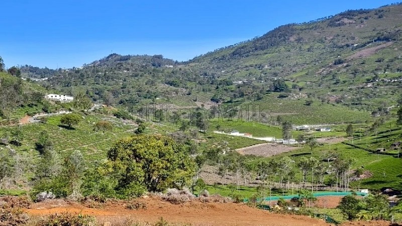 ₹8.57 Cr&nbsp;|&nbsp;98 cents  prime land for sale  in kottacombai kotagiri