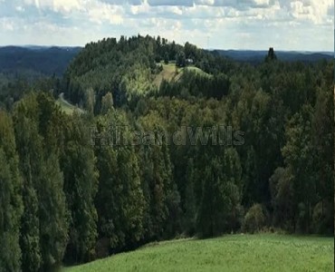 46 acres agricultural land for sale  in vagamon idukki