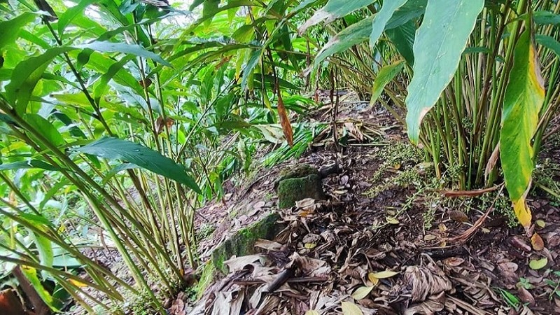 ₹75 Lac&nbsp;|&nbsp;2.15 acres agriculture land for sale  near near kallimaly idukki