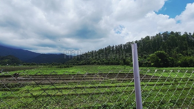 ₹73 Lac | 315 sq.yards residential plot for sale in thano dehradun