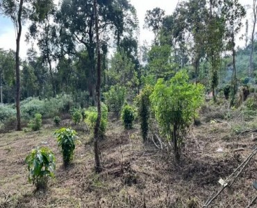 50 cents residential plot for sale  in manathavadi wayanad