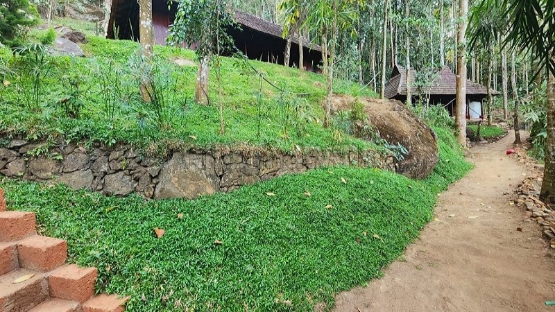 ₹6 Cr | 14bhk farm house for sale in sulthan bathery wayanad