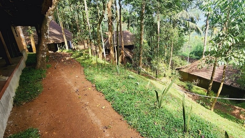 ₹6 Cr | 14bhk farm house for sale in sulthan bathery wayanad