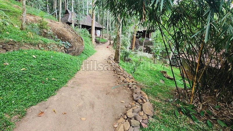₹6 Cr | 14bhk farm house for sale in sulthan bathery wayanad