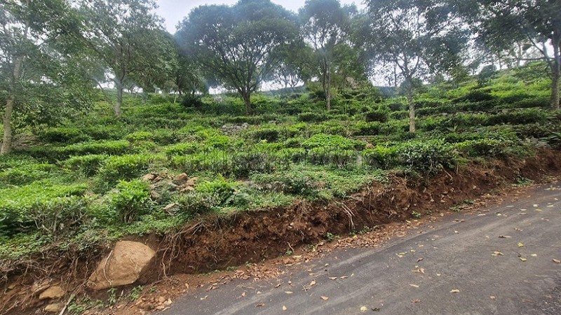 ₹42 Lac - 55 Lac&nbsp;|&nbsp;9150 sq.ft. - 12000 sq.ft.  gated community residential plots for sale  in aravenu kotagiri