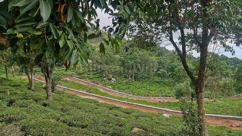 ₹42 Lac - 55 Lac&nbsp;|&nbsp;9150 sq.ft. - 12000 sq.ft.  gated community residential plots for sale  in aravenu kotagiri