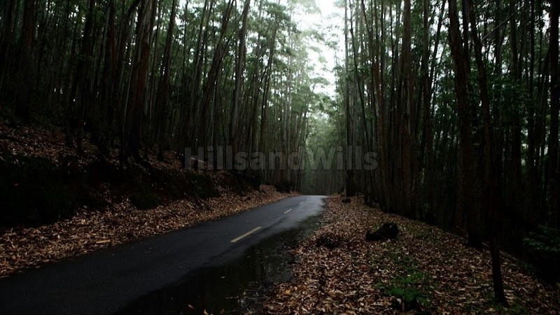 ₹2.30 Cr&nbsp;|&nbsp;2.31 acres agriculture land for sale  in vattavada munnar