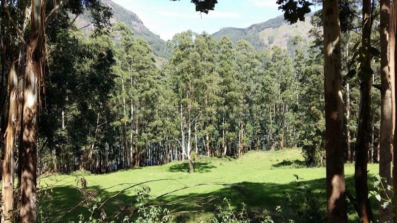 ₹2.30 Cr&nbsp;|&nbsp;2.31 acres agriculture land for sale  in vattavada munnar