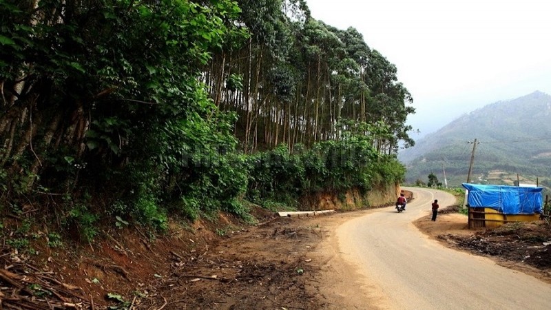 ₹2.30 Cr&nbsp;|&nbsp;2.31 acres agriculture land for sale  in vattavada munnar