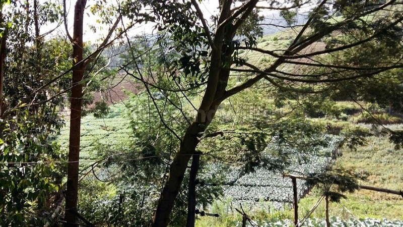 ₹2.30 Cr&nbsp;|&nbsp;2.31 acres agriculture land for sale  in vattavada munnar