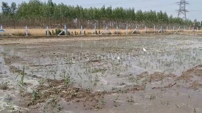 ₹2.40 Cr&nbsp;|&nbsp;12 bigha  farm land for sale  in shakhubhari mata road dehradun