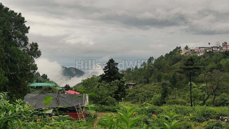 ₹22.50 Cr&nbsp;|&nbsp;7 bigha agriculture land for sale  in bhatta fall mussoorie