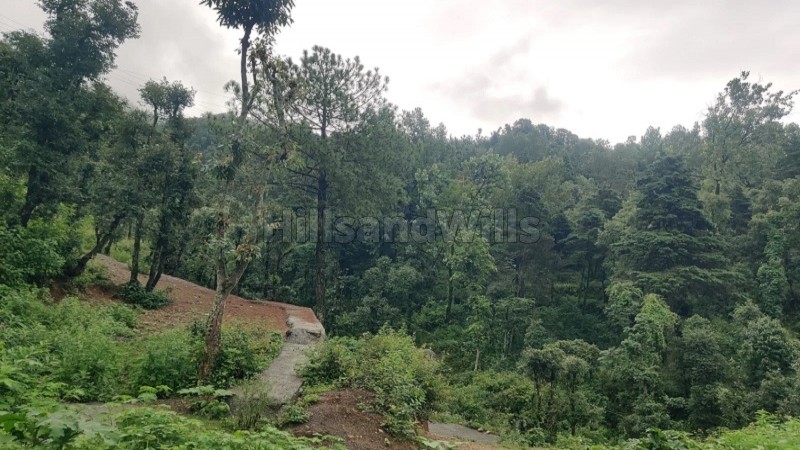 ₹22.50 Cr&nbsp;|&nbsp;7 bigha agriculture land for sale  in bhatta fall mussoorie