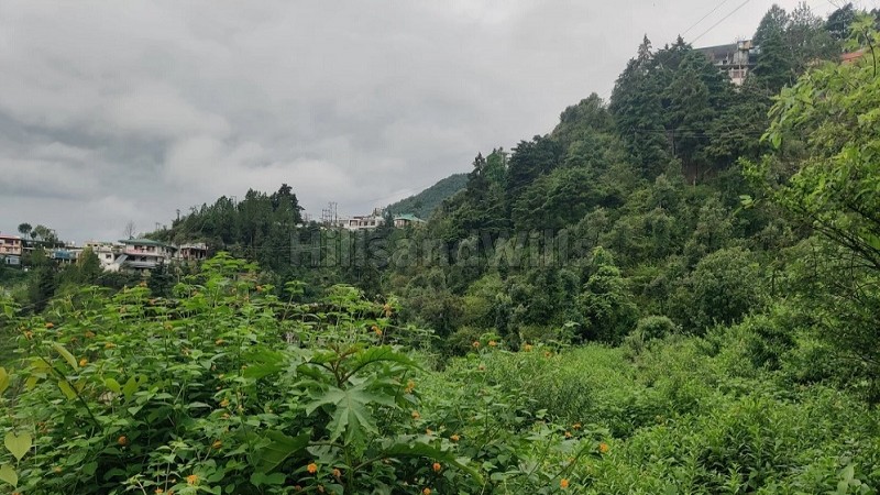 ₹22.50 Cr&nbsp;|&nbsp;7 bigha agriculture land for sale  in bhatta fall mussoorie
