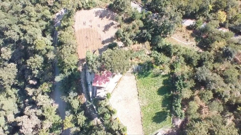 ₹6 Cr&nbsp;|&nbsp;33 bigha  kiwi orchard with cottage for sale  in waknaghat solan