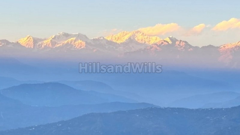 ₹1 Cr | 1200 sq. ft homestay for sale in lamahatta darjeeling along with 2.5 decimal land