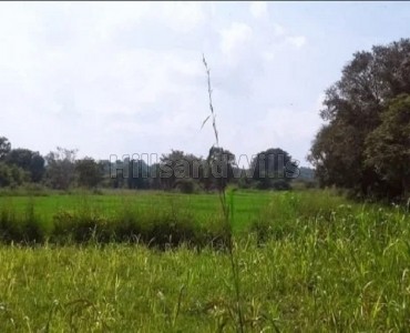 2 acres agriculture land for sale in hebbale coorg 2 acres agriculture land for sale in hebbale coorg