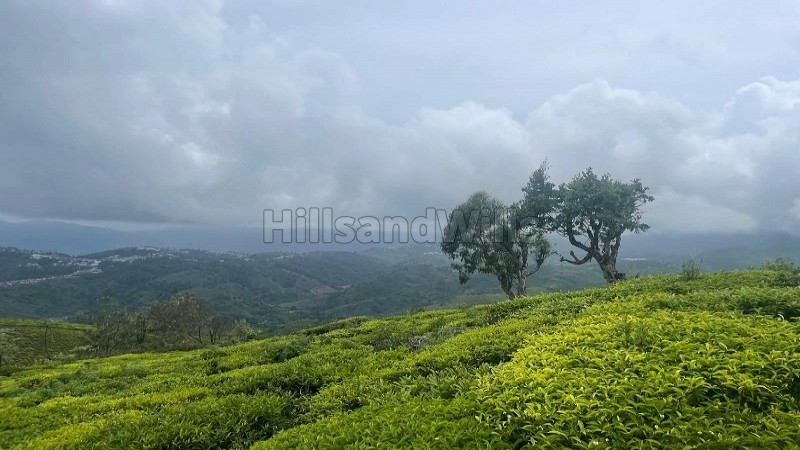 ₹10 Cr | 10 acres estate land for sale in yedakaddu ooty