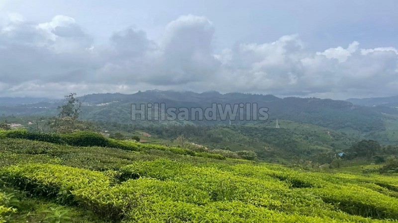 ₹10 Cr | 10 acres estate land for sale in yedakaddu ooty