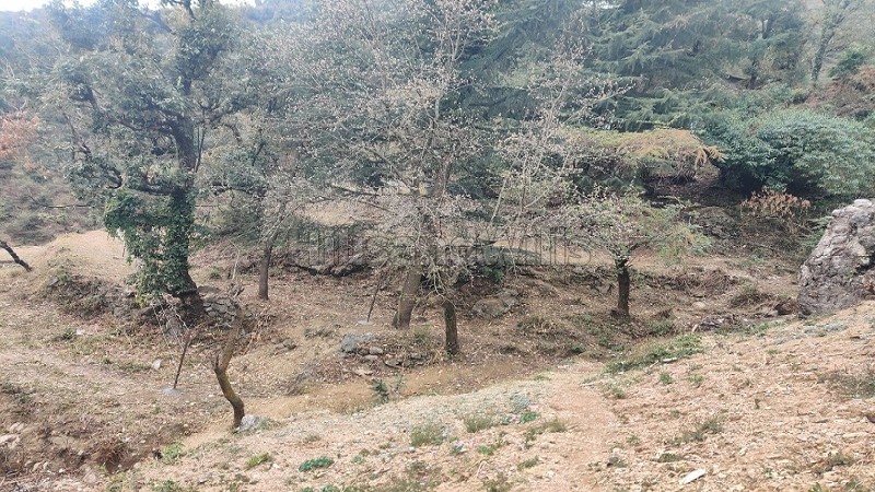 ₹4.51 Cr&nbsp;|&nbsp;3500 sq.yards residential plot for sale  in hathipao road mussoorie