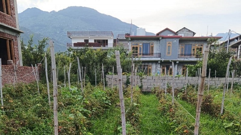 ₹98 Lac&nbsp;|&nbsp;7 biswa residential plot for sale  in bhunter kullu-manali