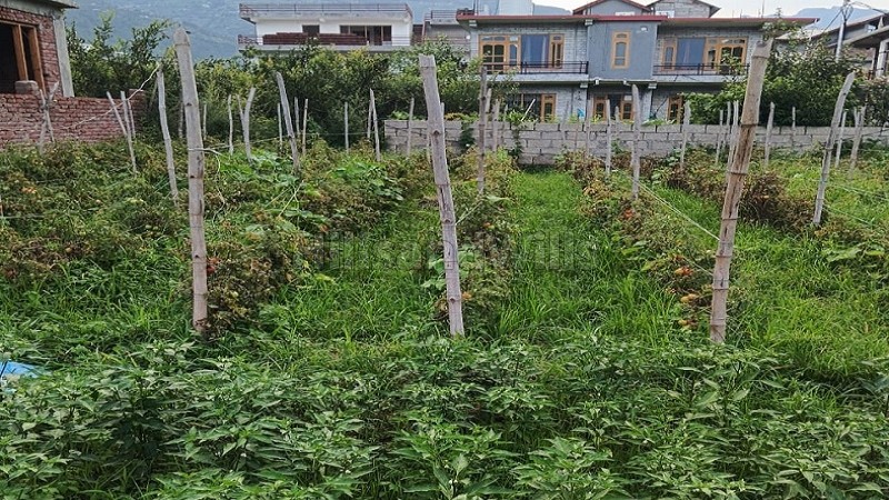 ₹98 Lac&nbsp;|&nbsp;7 biswa residential plot for sale  in bhunter kullu-manali