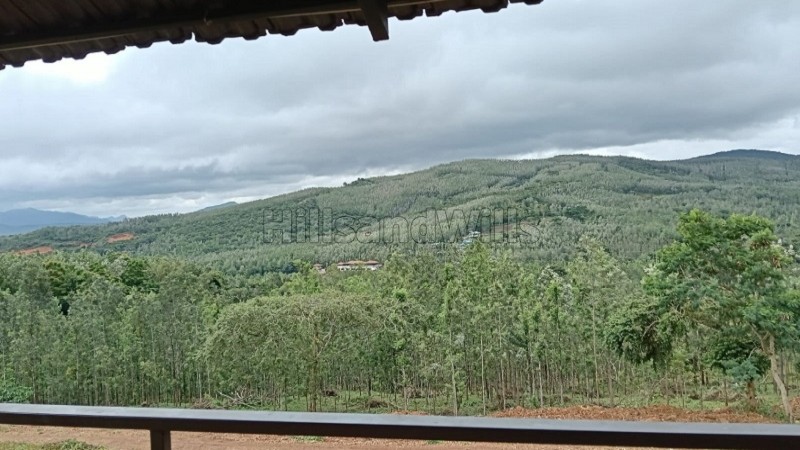 ₹6 Cr | 8 acres coffee estate for sale in chikmagalur
