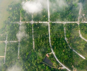 6000 sq.ft.  premium estate plots for sale  in virajpet coorg