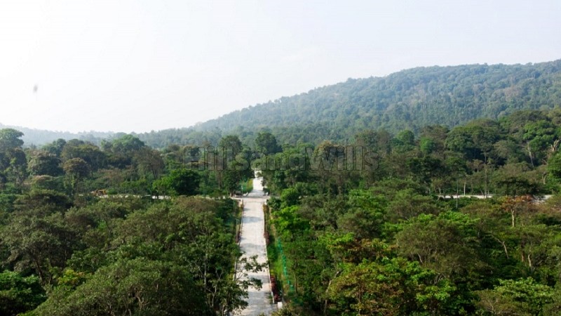 ₹36 Lac | 6000 sq.ft. premium estate plots for sale in virajpet coorg