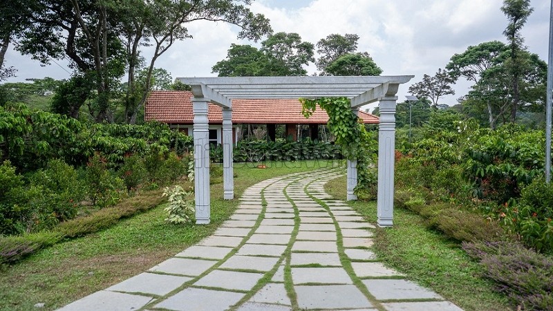 ₹36 Lac | 6000 sq.ft. premium estate plots for sale in virajpet coorg