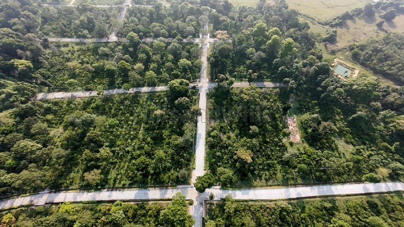 ₹36 Lac | 6000 sq.ft. premium estate plots for sale in virajpet coorg