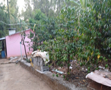 8 cents agriculture land for sale  in semmanatham yercaud