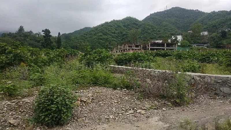 ₹1.36 Cr&nbsp;|&nbsp;230 sq.yards residential plot for sale  between mussoorie and dehradun