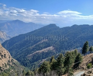15 bigha  apple & cherry orchard for sale  in theog shimla
