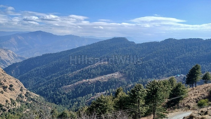 ₹10 Cr&nbsp;|&nbsp;15 bigha  apple & cherry orchard for sale  in theog shimla