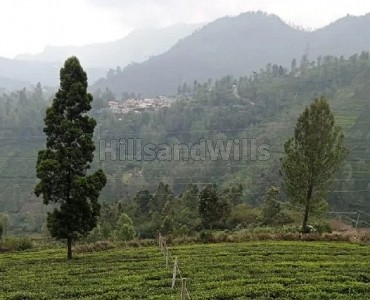 1 acres agriculture land for sale  in westbrook kotagiri