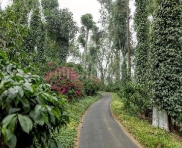 5 acres coffee estate for sale  near dubare elephant camp coorg