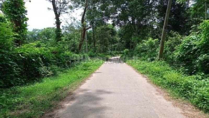 ₹4 Cr&nbsp;|&nbsp;5 acres coffee estate for sale  near dubare elephant camp coorg