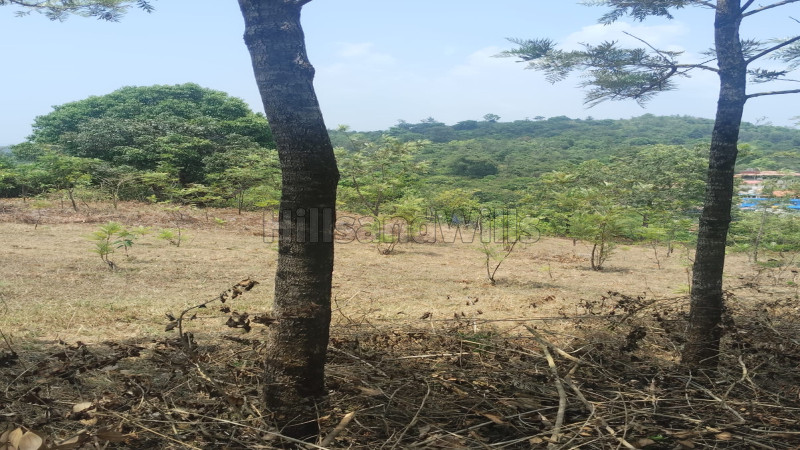 ₹5 Cr | 1 acres agriculture land for sale in madikeri coorg
